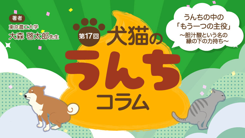 犬猫のうんちコラム [第17回] うんちの中の「もう一つの主役」 ～胆汁酸という名の縁の下の力持ち～