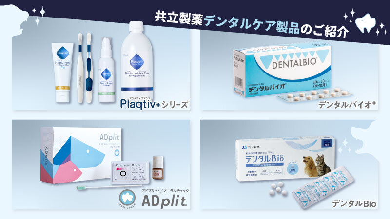 共立製薬デンタルケア製品のご紹介