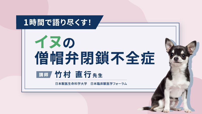 1時間で語り尽くす イヌの僧帽弁閉鎖不全症