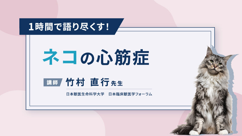 1時間で語り尽くす ネコの心筋症