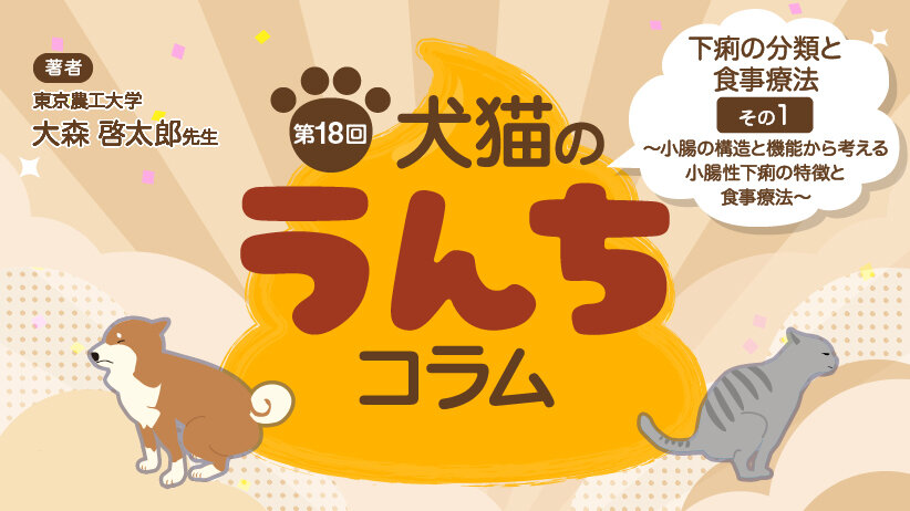 犬猫のうんちコラム [第18回] 下痢の分類と食事療法 その1 ～小腸の構造と機能から考える小腸性下痢の特徴と食事療法～