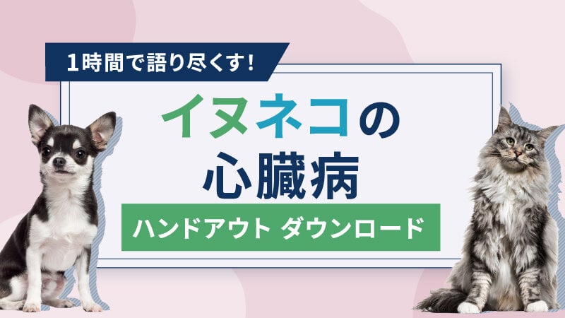 1時間で語り尽くす!イヌネコの心臓病 :ハンドアウトダウンロードお申込み