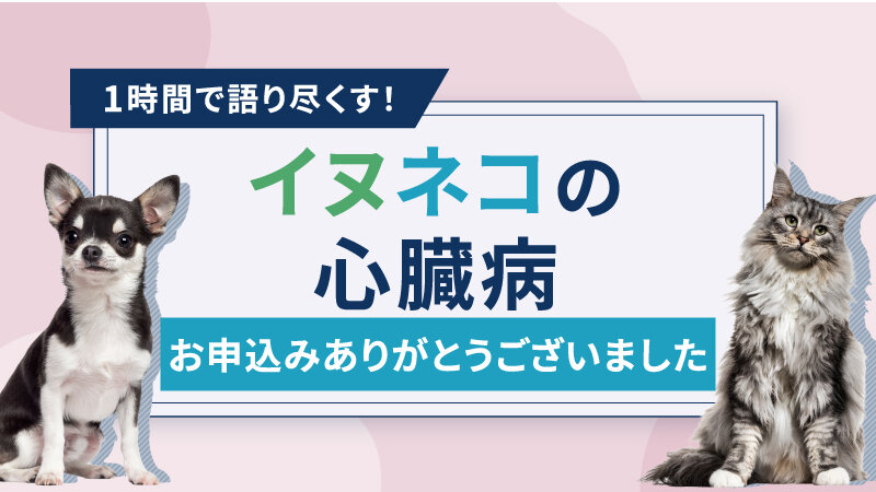 1時間で語り尽くす！イヌネコの心臓病 :ハンドアウト ダウンロード