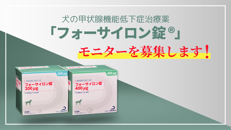 【数量限定無料サンプル】犬の甲状腺機能低下症治療薬「フォーサイロン錠®」のモニターを募集