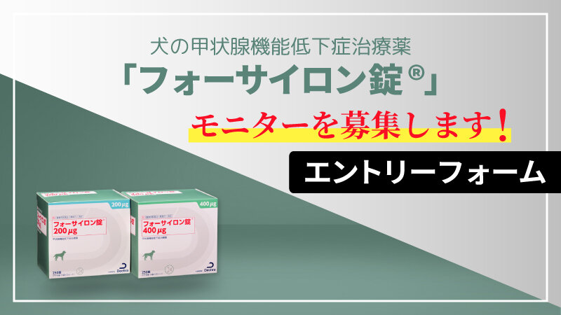 犬の甲状腺機能低下症治療薬「フォーサイロン錠®」のモニター募集：エントリーフォーム