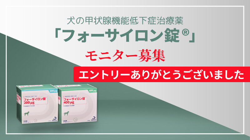 犬の甲状腺機能低下症治療薬「フォーサイロン錠®」のモニターにエントリーいただきありがとうございました