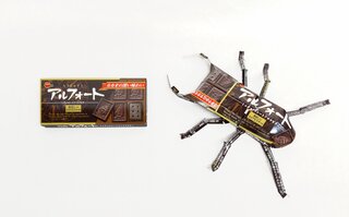 アルフォートクワガタ箱あり