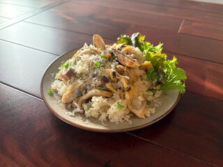 カメダバルkomaru