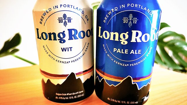 激レア】patagoniaパタゴニア 『Long Root Ale』グロウラー