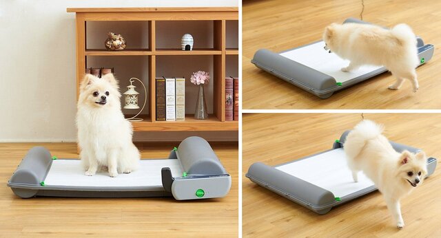 デイキャンプや長時間の外出時にあると嬉しい ペットのニオイが広がらないロール式自動犬用トイレ Maduro Online マデュロオンライン