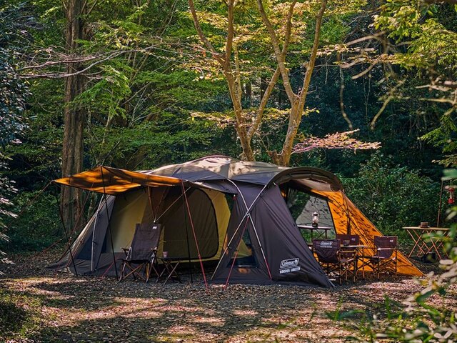 30a24962-35d7-408b-bcad-