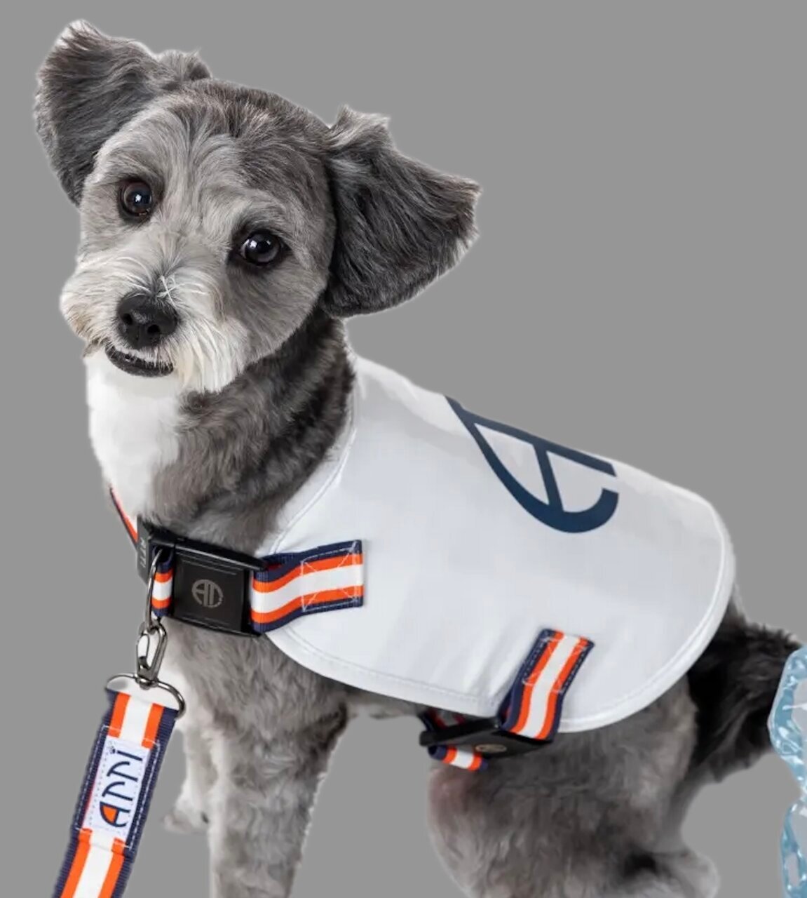 【Heat Prevention for Your Dog】Cool with the cooling material "PCM"! A neckband and vest that can match with your owner.