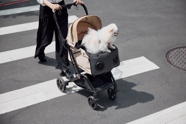 【Heatstroke Prevention for Pets】Enveloping in a refreshing breeze! Comfortable outings with a dual fan-equipped mat