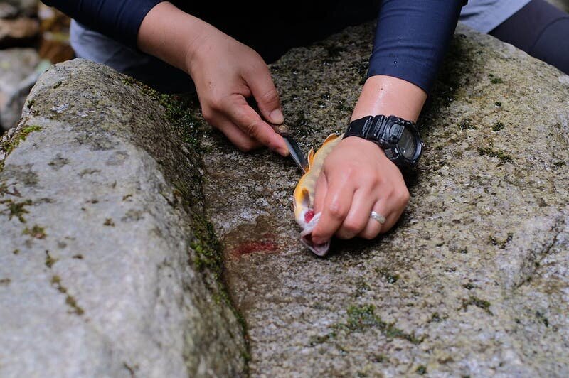 【Trail Knife】Enjoy the blessings of the mountains! A versatile tool that can cut and slice, and even handle fish