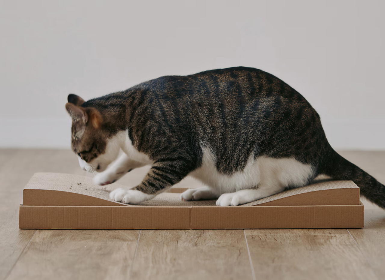 As expected from Muji! Disinfectant deodorizing sprays and scratching beds, a variety of pet products that cater to daily life continue to emerge