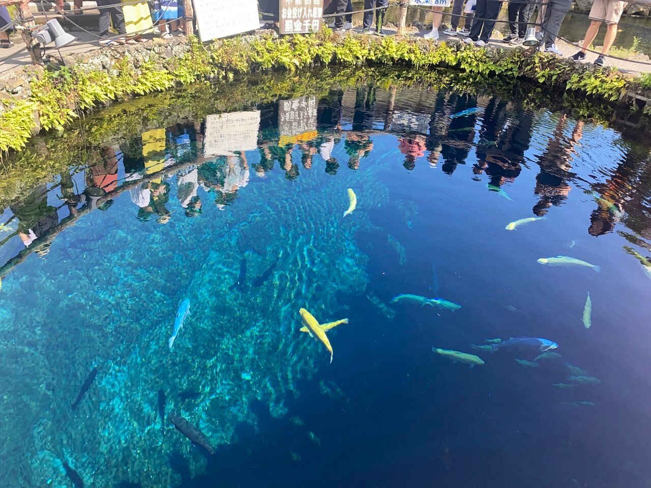 【Summer Vacation Drive】 Transparent spring water and thatched landscapes! Reset your daily life at Oshino Hakkai in Yamanashi