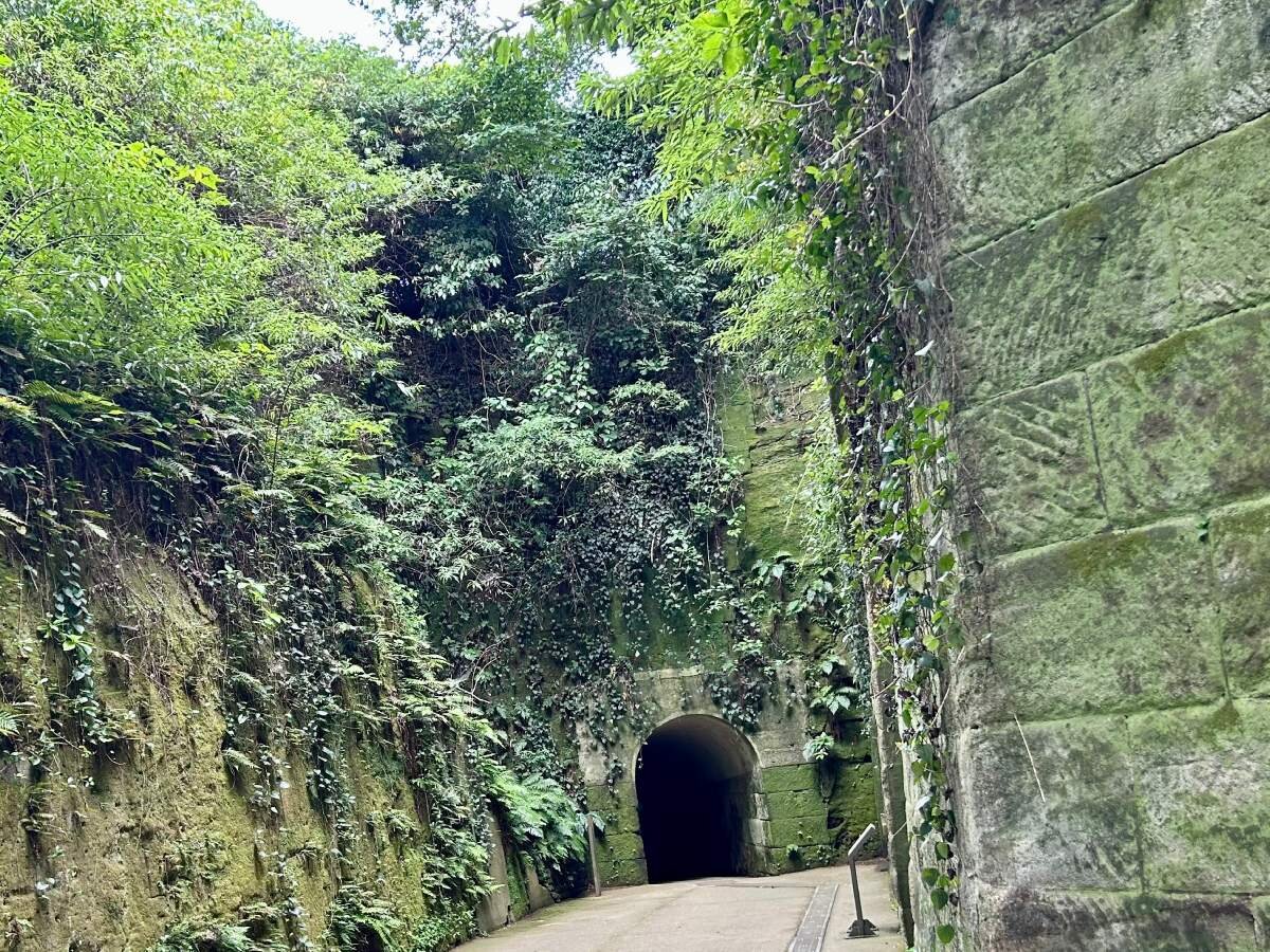 【大人の冒険】横須賀からフェリーで10分！東京湾の無人島「猿島」を満喫してきた