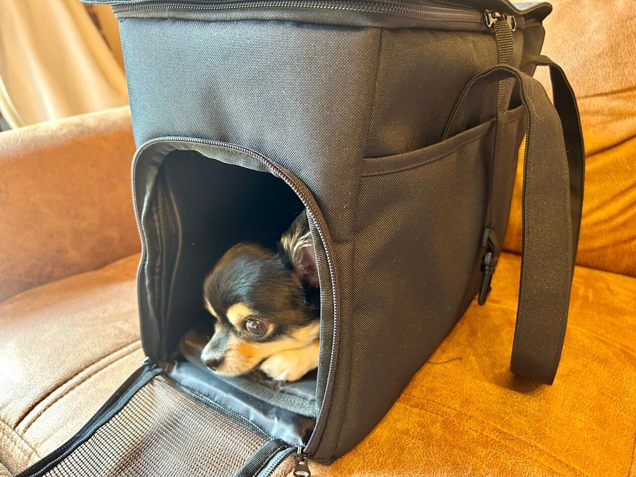 【MUJI】 "Pet washable carry bag" has made outings comfortable for my beloved dog
