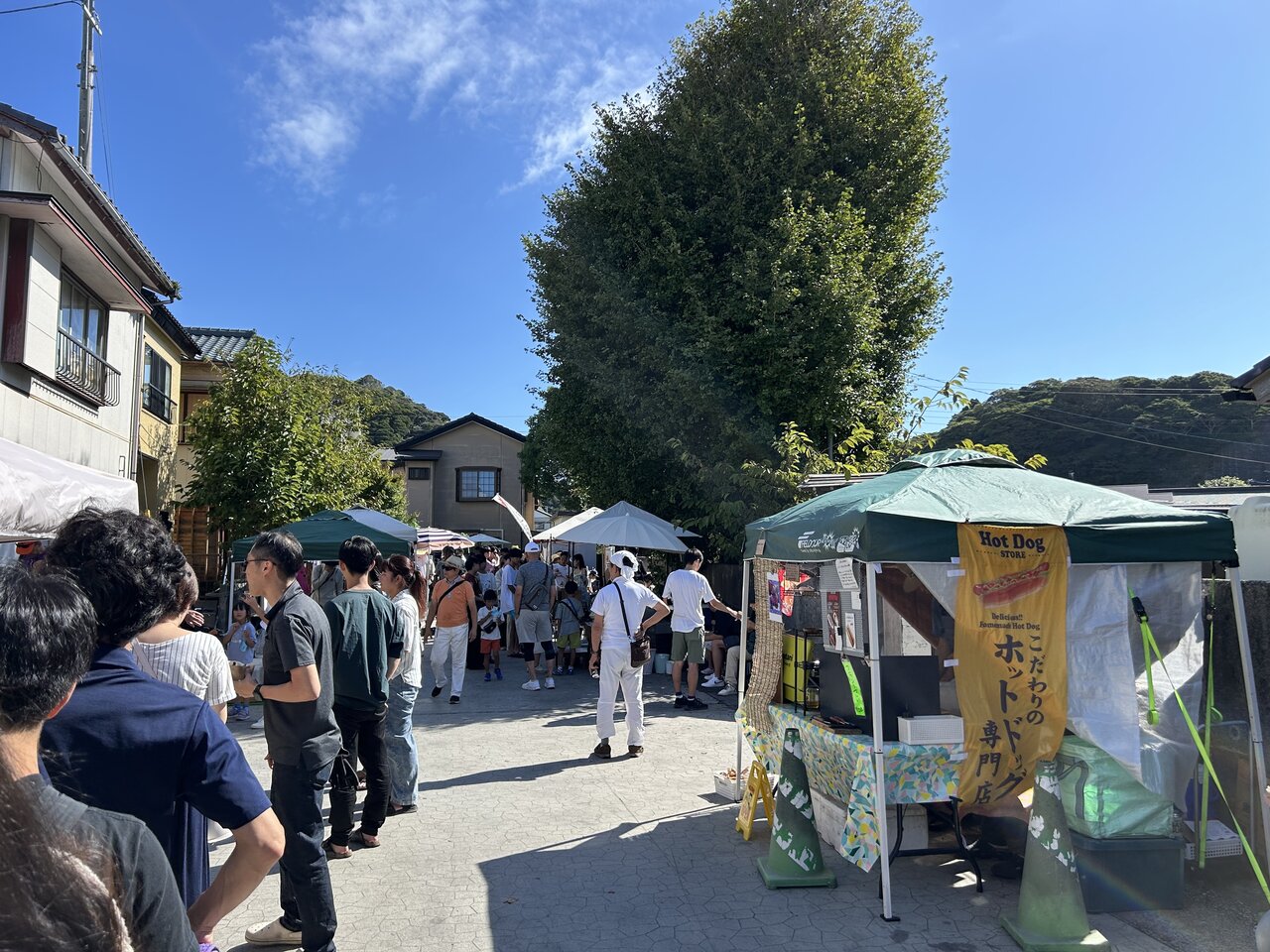 【早起きドライブ】朝に強い人は行くべき「勝浦朝市」の屋台グルメで必ず食べたい3つ