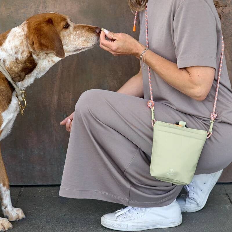 【Pet】Hands-free and easy to walk! This practical walking bag from Germany is just too useful