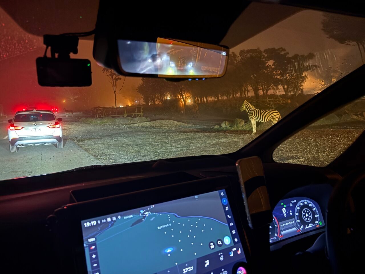 【Adventure Night】Drove through the "Night Safari" at Fuji Safari Park