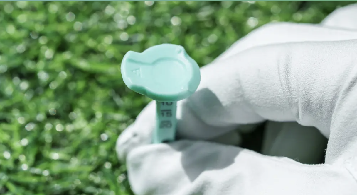 【Autumn Golf】Aim for Increased Distance! A New Concept Tee that Supports Precision Shots