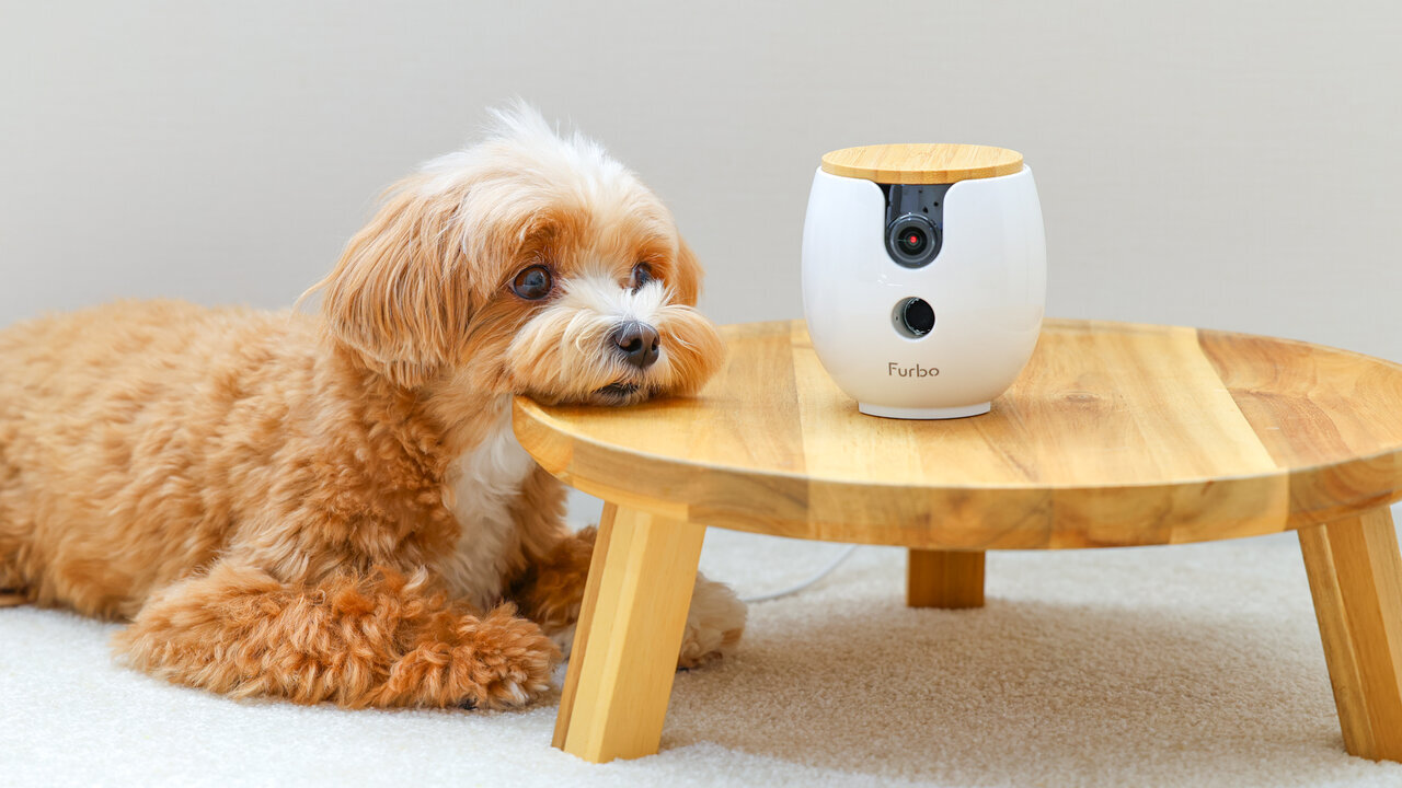 【Pet】Small as a mug! A 360-degree camera that can check even the fur!