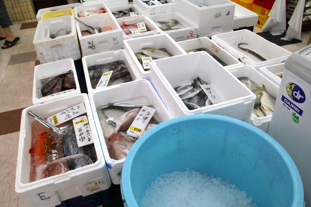 【Camp Meals】Buy fresh local amberjack at the local supermarket and prepare it yourself! Nishiizu Camp