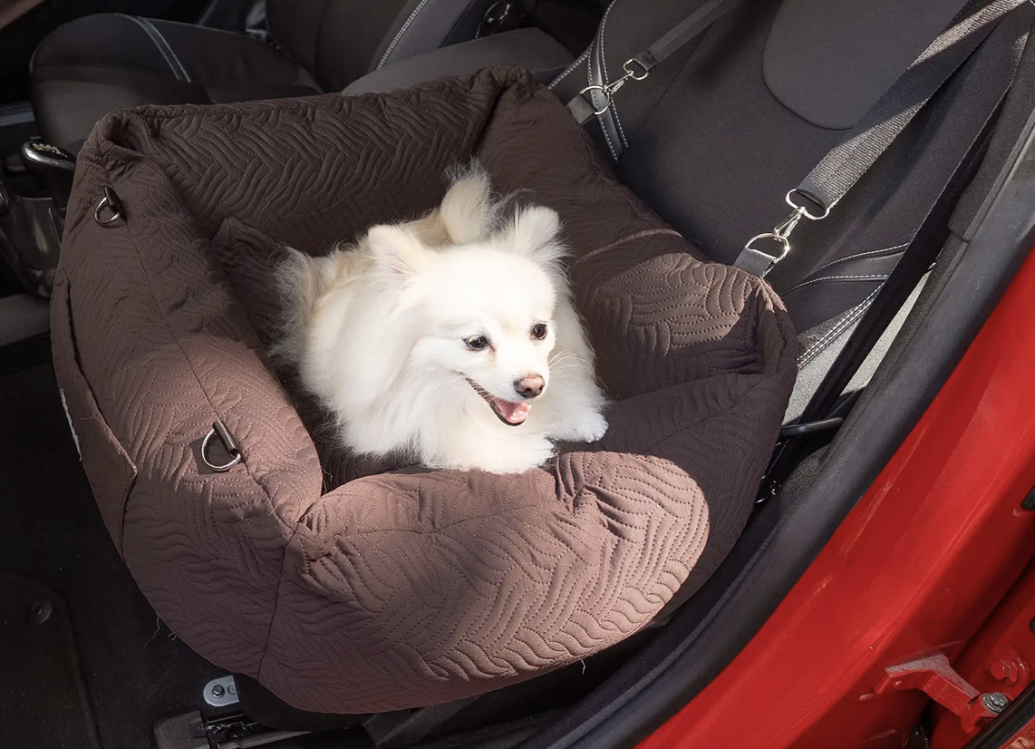 【Driving with My Dog】 Once Out, It's in the Carrier! Relaxing During the Trip with a Large Drive Bed