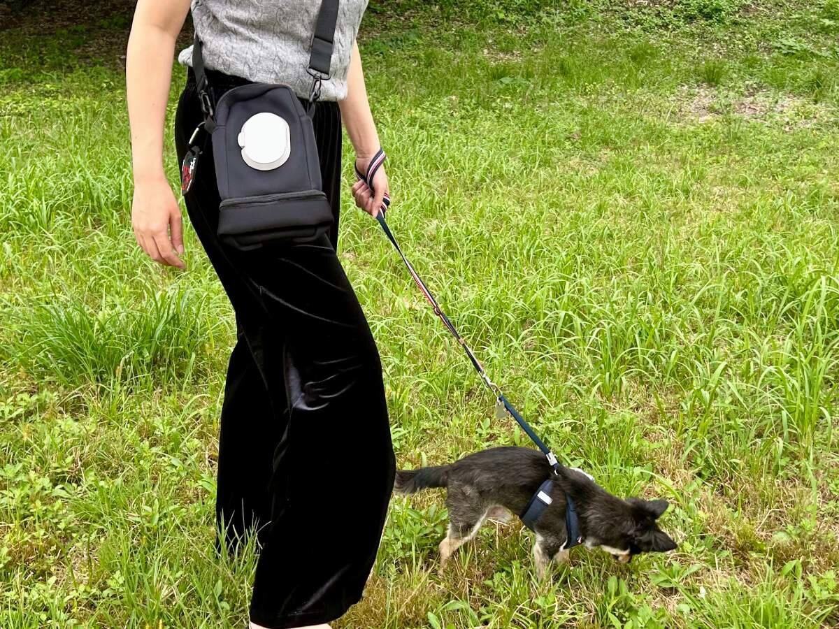 【犬LOVERのアイテム】愛犬とのお散歩に!3COINSの「多機能ポーチ」が使いやすい
