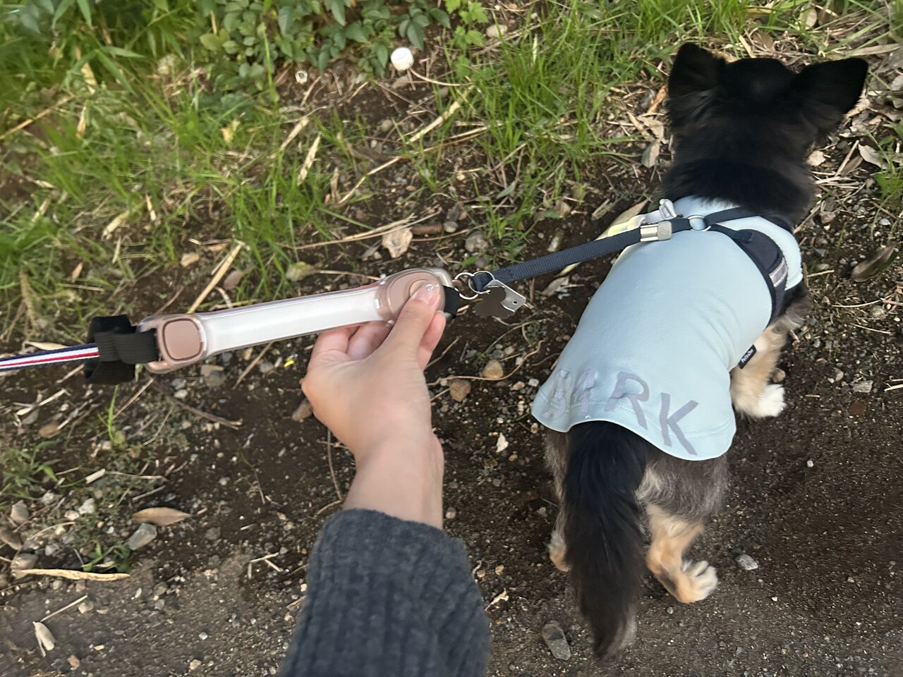 【3COINS】夜の犬散歩で想像以上に明るい! 暗闇で光る「お散歩ライト」を使ってみた