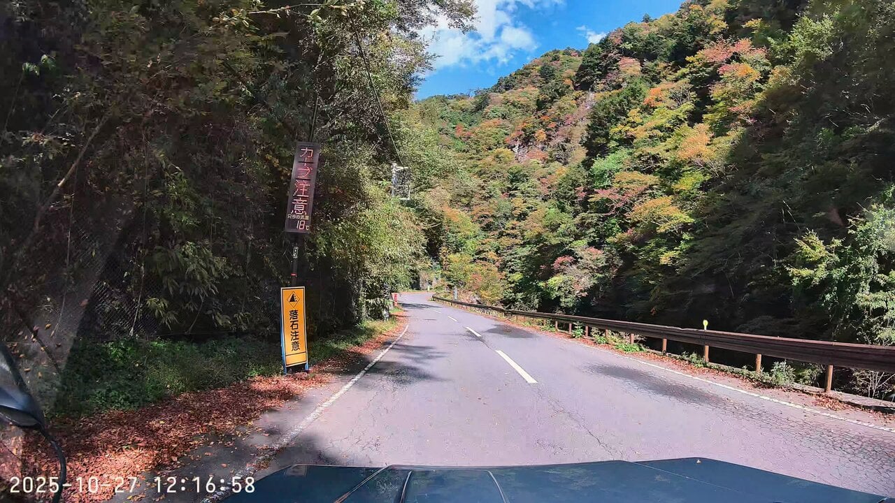 【見頃は11月】紅葉の名所!埼玉県・奥秩父 中津狭の色付き具合を調査するドライブ