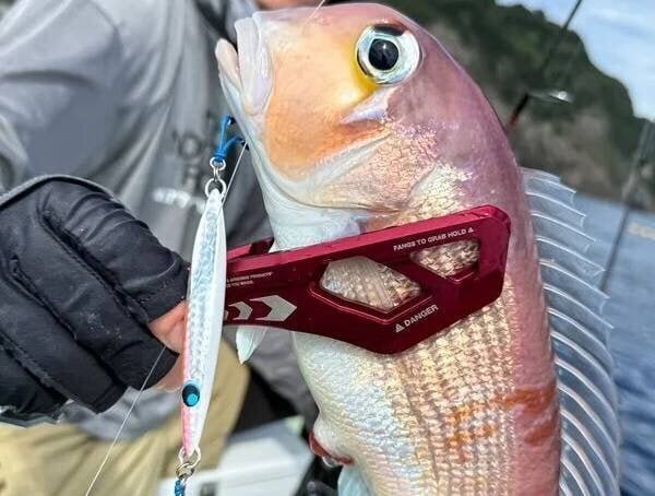 [Fishing] Even at over 20,000 yen, you want it! Full metal fish grip with an extraordinary ease of handling.