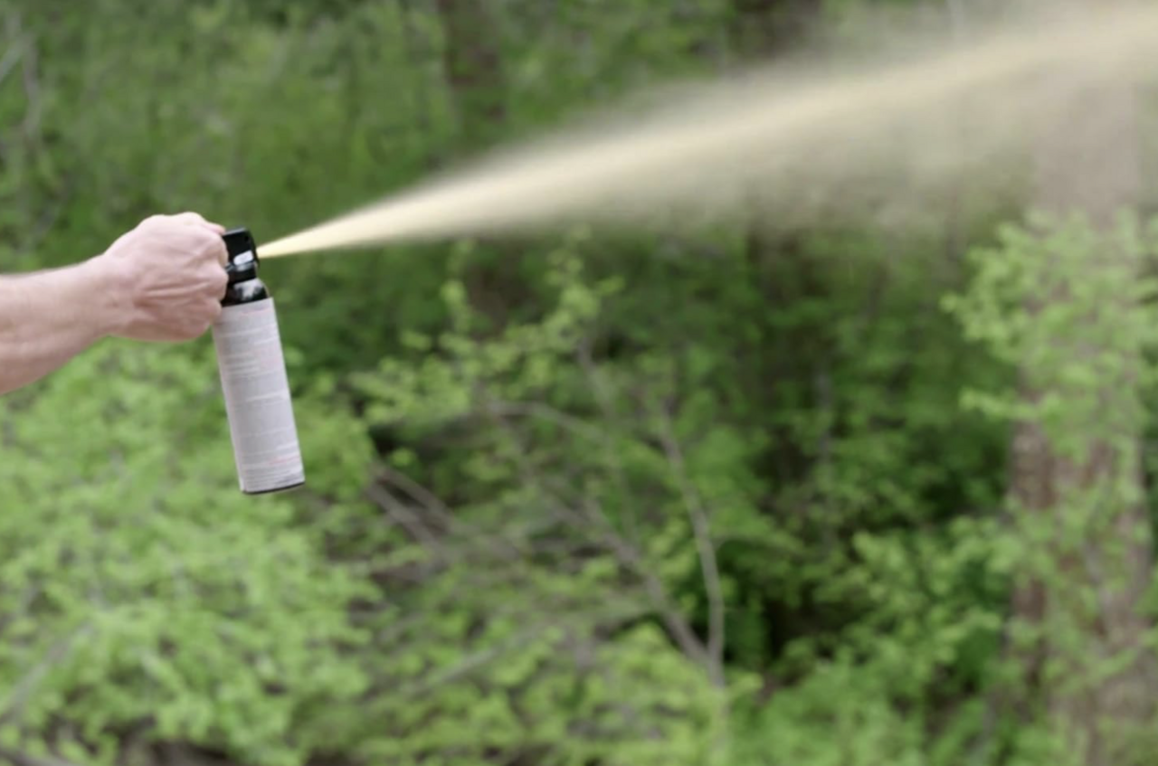 【Bear Repellent】"I'm fine" is dangerous! Prepare with spray & bear bells, 3 choices