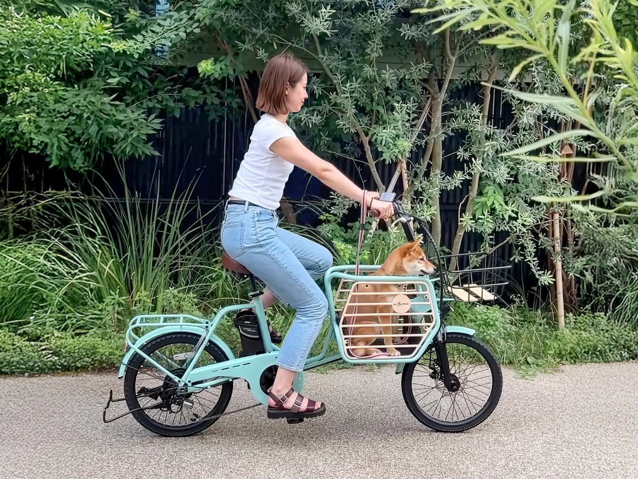 【新しい移動手段】40km先までプチ冒険！犬用キャビン搭載の電アシ自転車