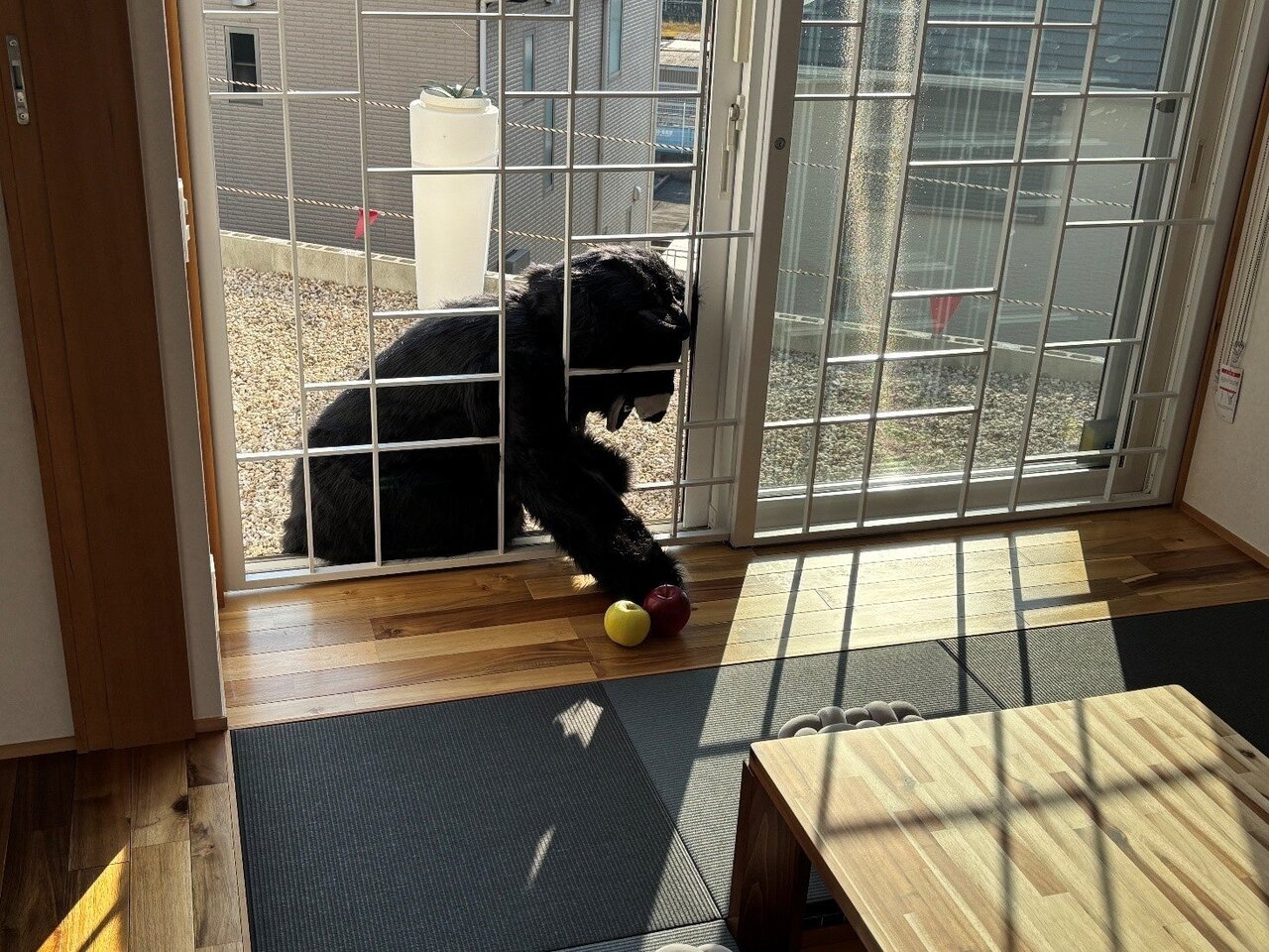 【クマ対策】子グマもすり抜けない！窓枠フィットの鉄格子で自宅と家族を守り抜く