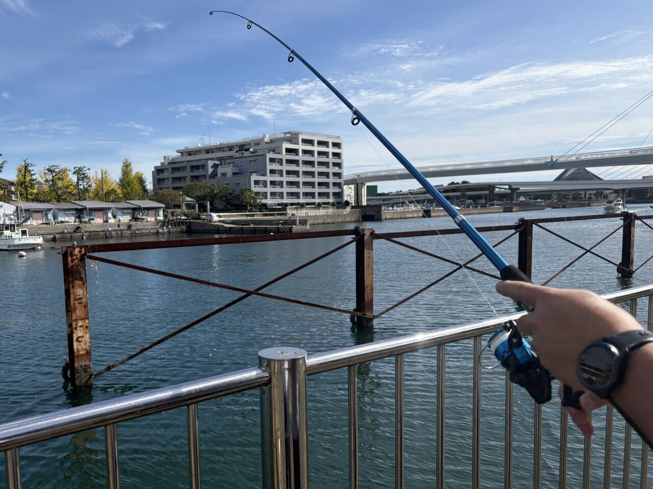 A beginner challenges sea fishing with only Daiso fishing gear! Can the family enjoy it for 1870 yen?