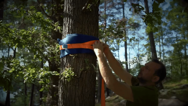 【New Sensation Tree Tent】A secret base in the air! Just connect it to "3 trees" to create a bedroom + living room.