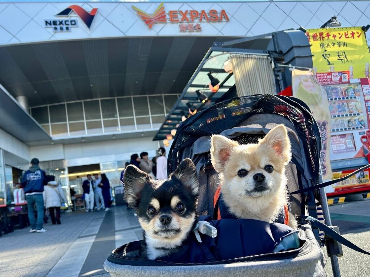 【Drive】 Refresh at Ebina SA (downbound) in the "dog-friendly walkway"! + Limited takeout gourmet options 3 items