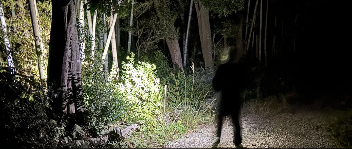 【Flashlight】"Continues to shine for 10 days!" A high-brightness LED light that handles everything from bedtime to survival