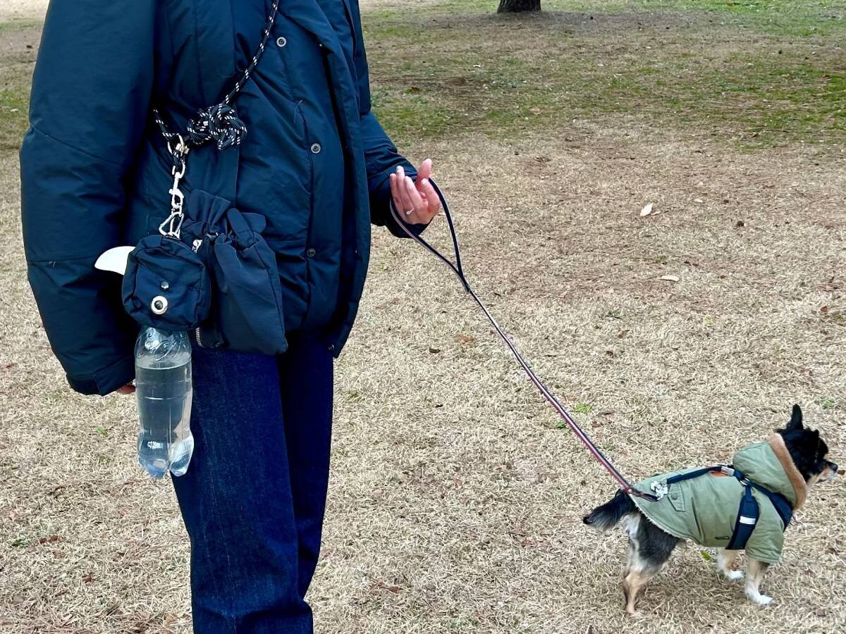 【愛犬バッグ選】3COINSの「お散歩ショルダーセット」が大きな公園の遊びにぴったりだった