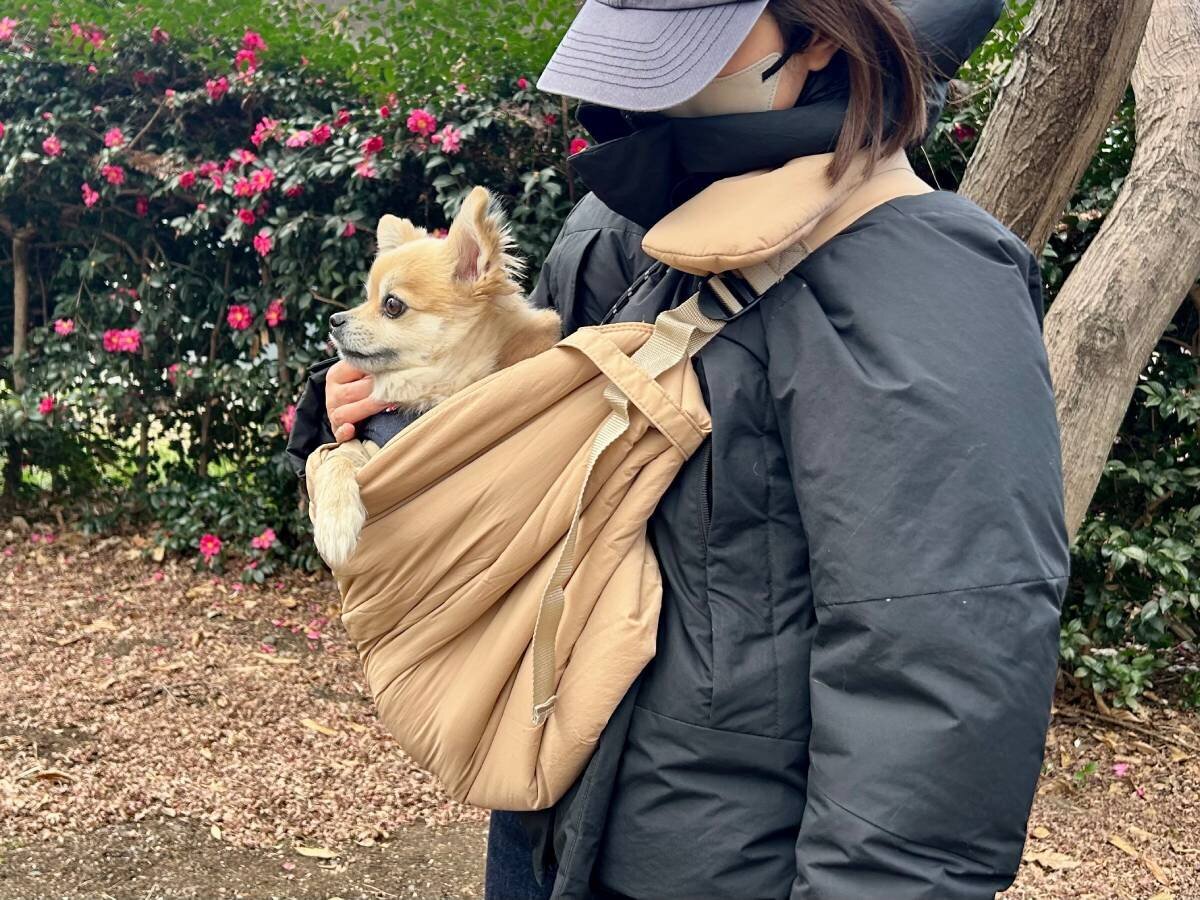 【Practical Report】 Warm and Comfortable! 3COINS' "Dog Sling" is perfect for winter carrying walks.