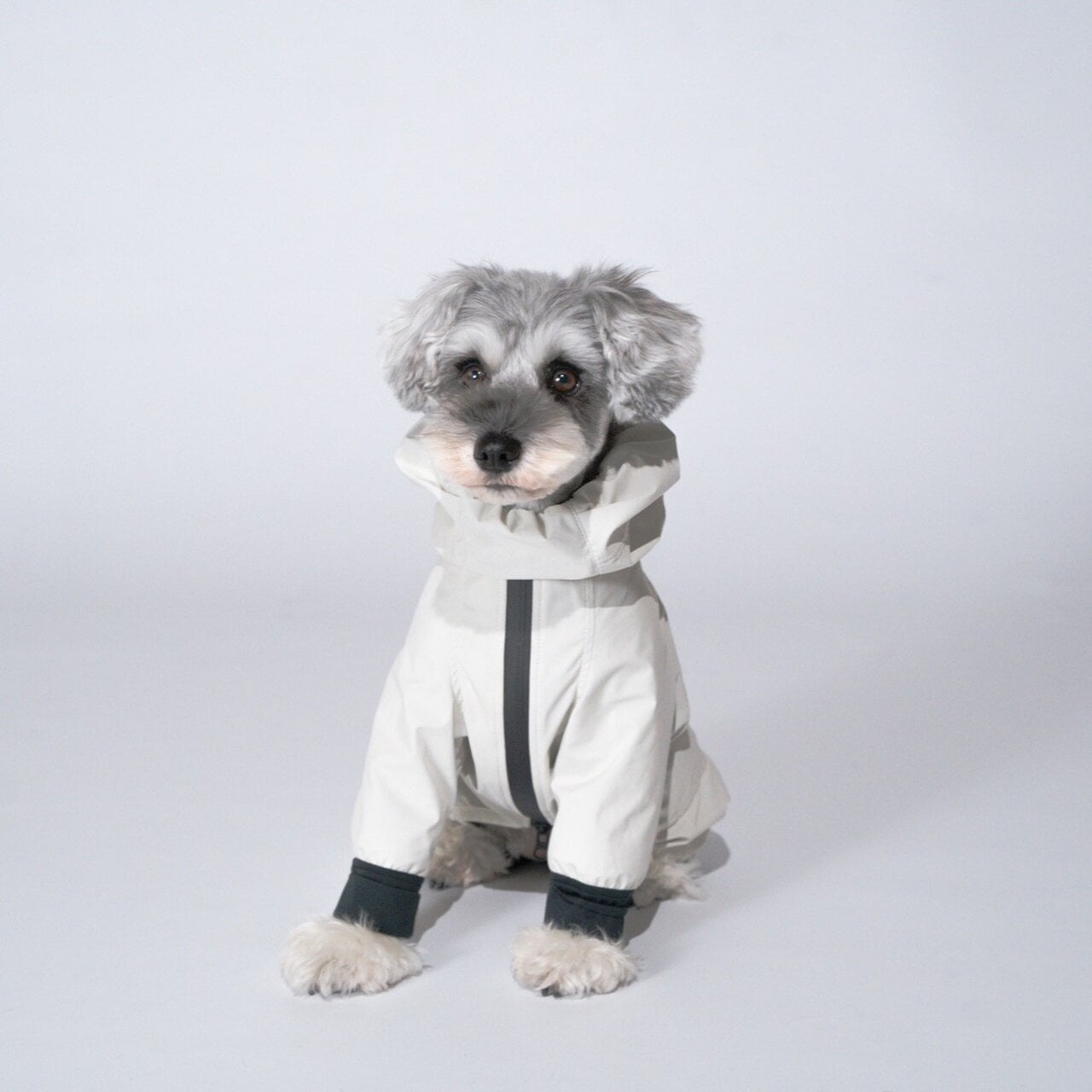 【雪と愛犬】足長犬種も濡れない!人気ドッグブランドコラボのレインウエア