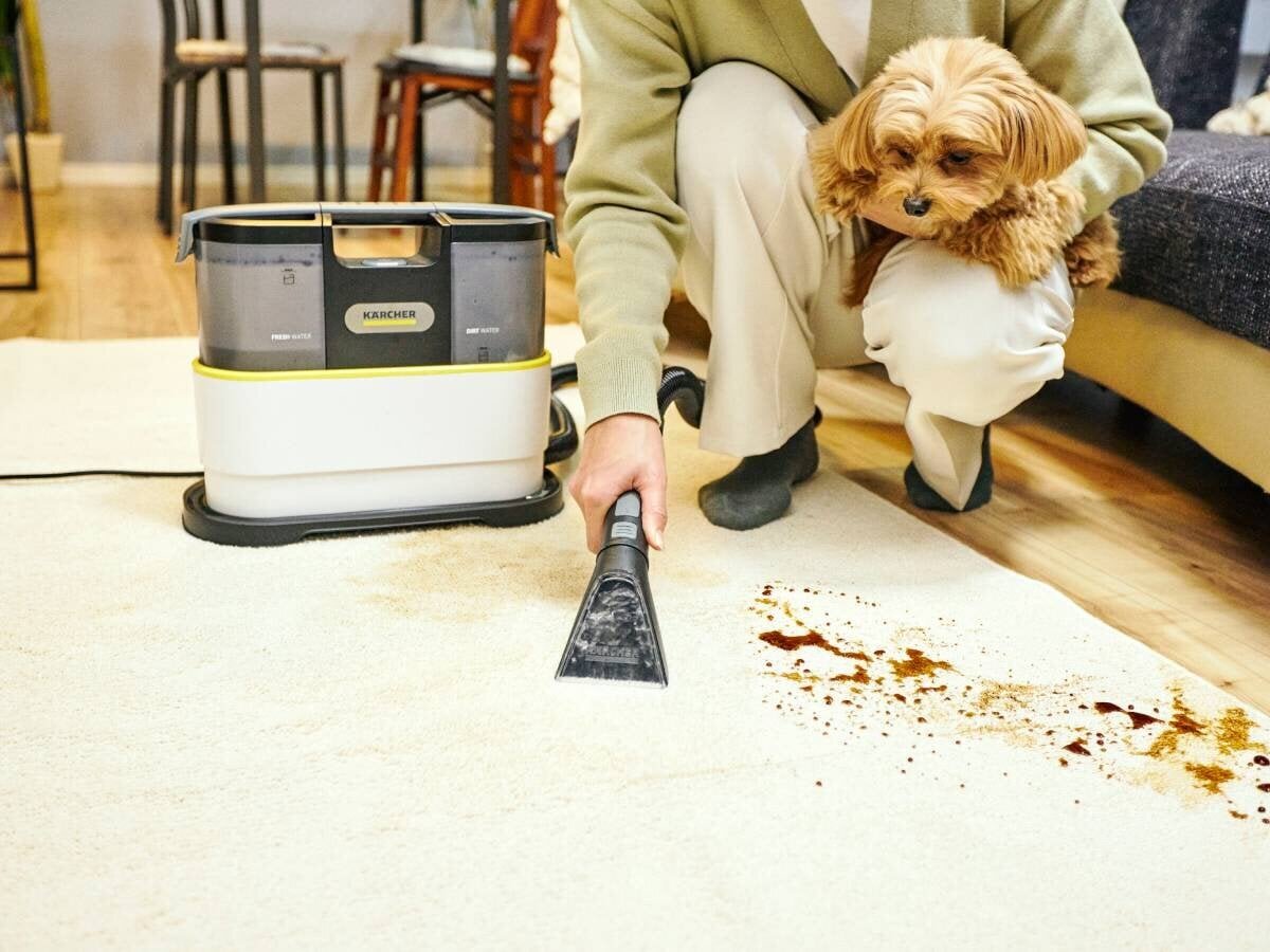 【Kärcher】20,000 yen range is worth buying! The new carpet rinse cleaner is perfect for light use