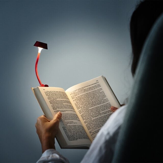 【From France】Exciting pop designs! Amazing functionality with alarm clocks and lights, among others