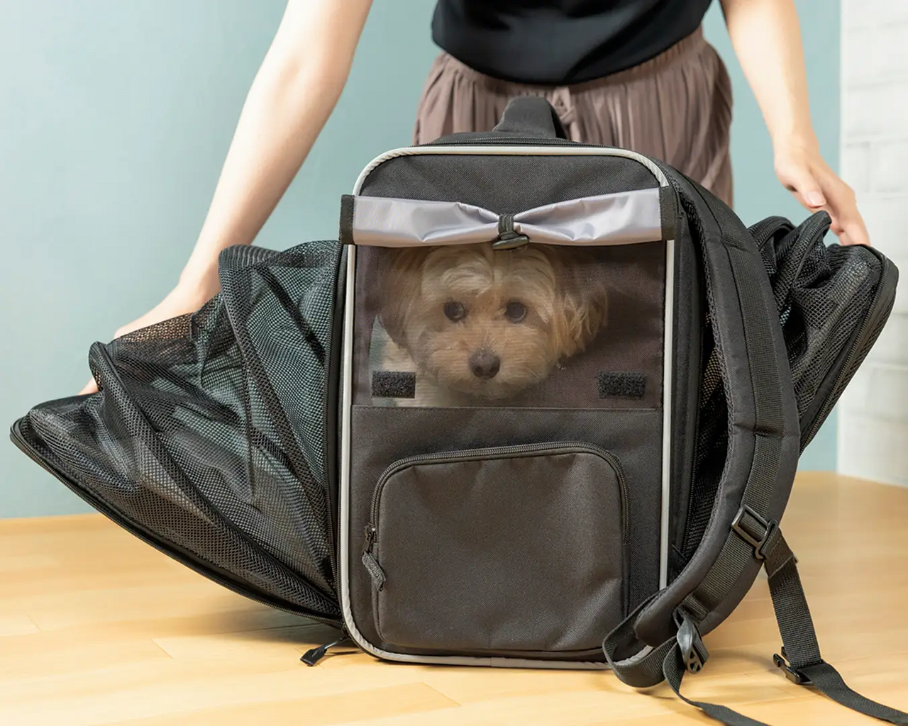 【Pet】The walking bag can be turned into an "evacuation kit"! Expand it, and it transforms into a simple cage.