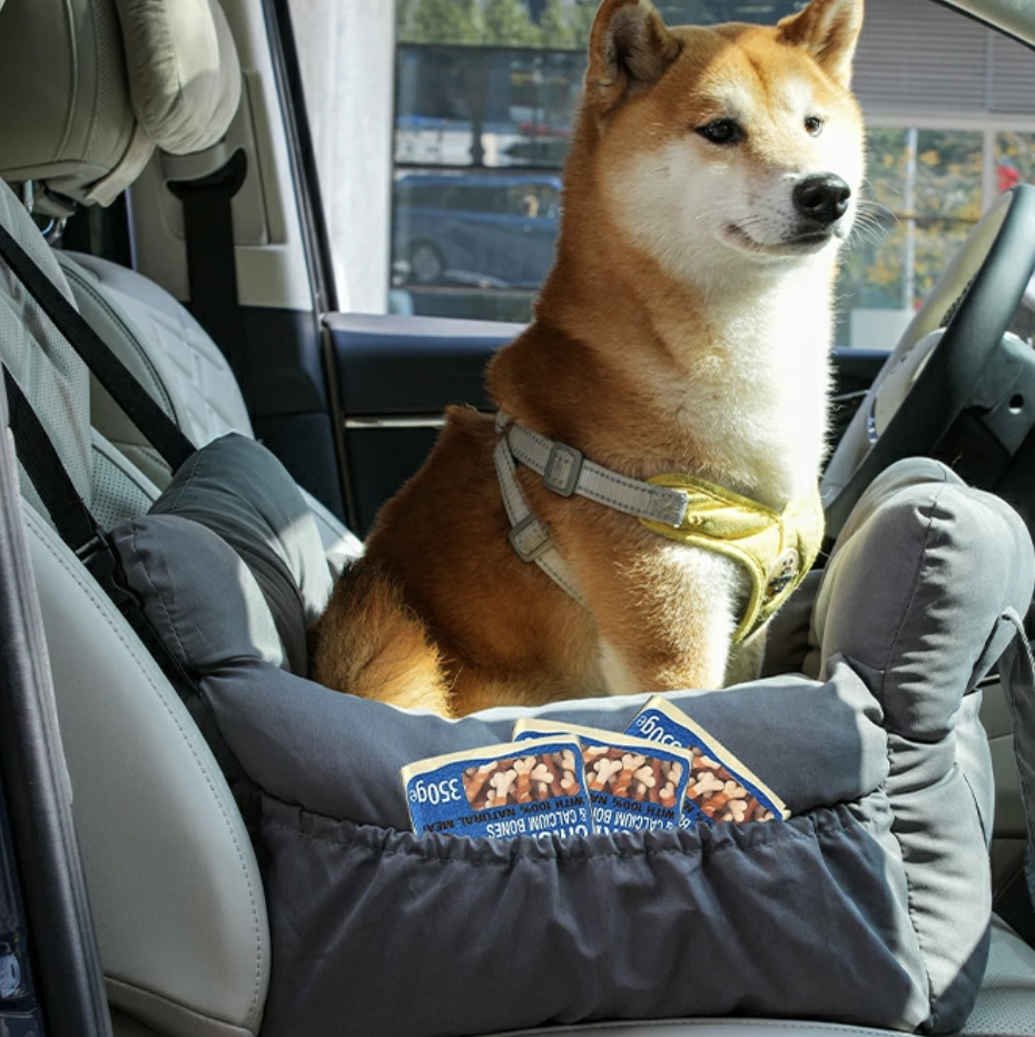 【愛犬とお出かけ】シートが“特等席”に！コンパクトカーにも設置できるドライブベッド