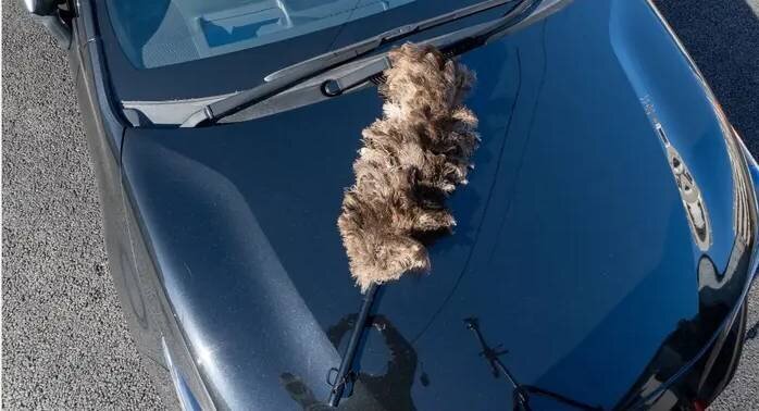 【Open Air Parking】Is pollen sticking to your vehicle? Give it a quick dusting with the natural ostrich feather duster.