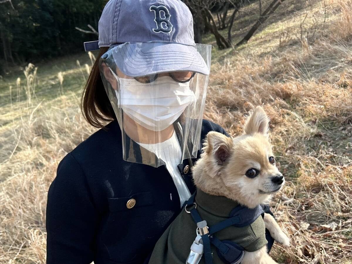 【Pollen Countermeasures】 Is Daiso's 110 yen "Face Shield" usable? I tried it on a walk with my dog.