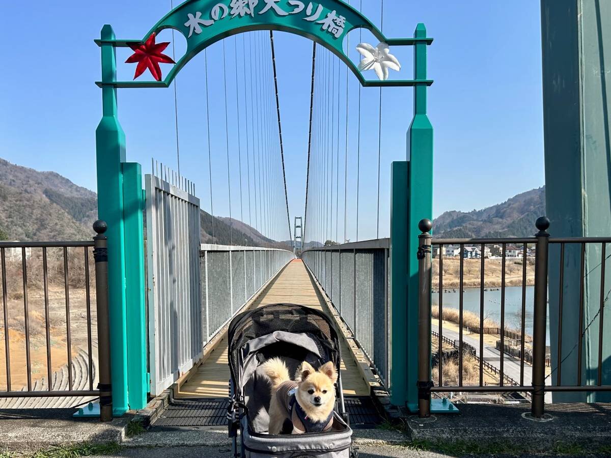 【愛犬とお出かけ】グルメも散歩も！ドッグフレンドリーな神奈川・宮ヶ瀬ダム周辺の散策ガイド